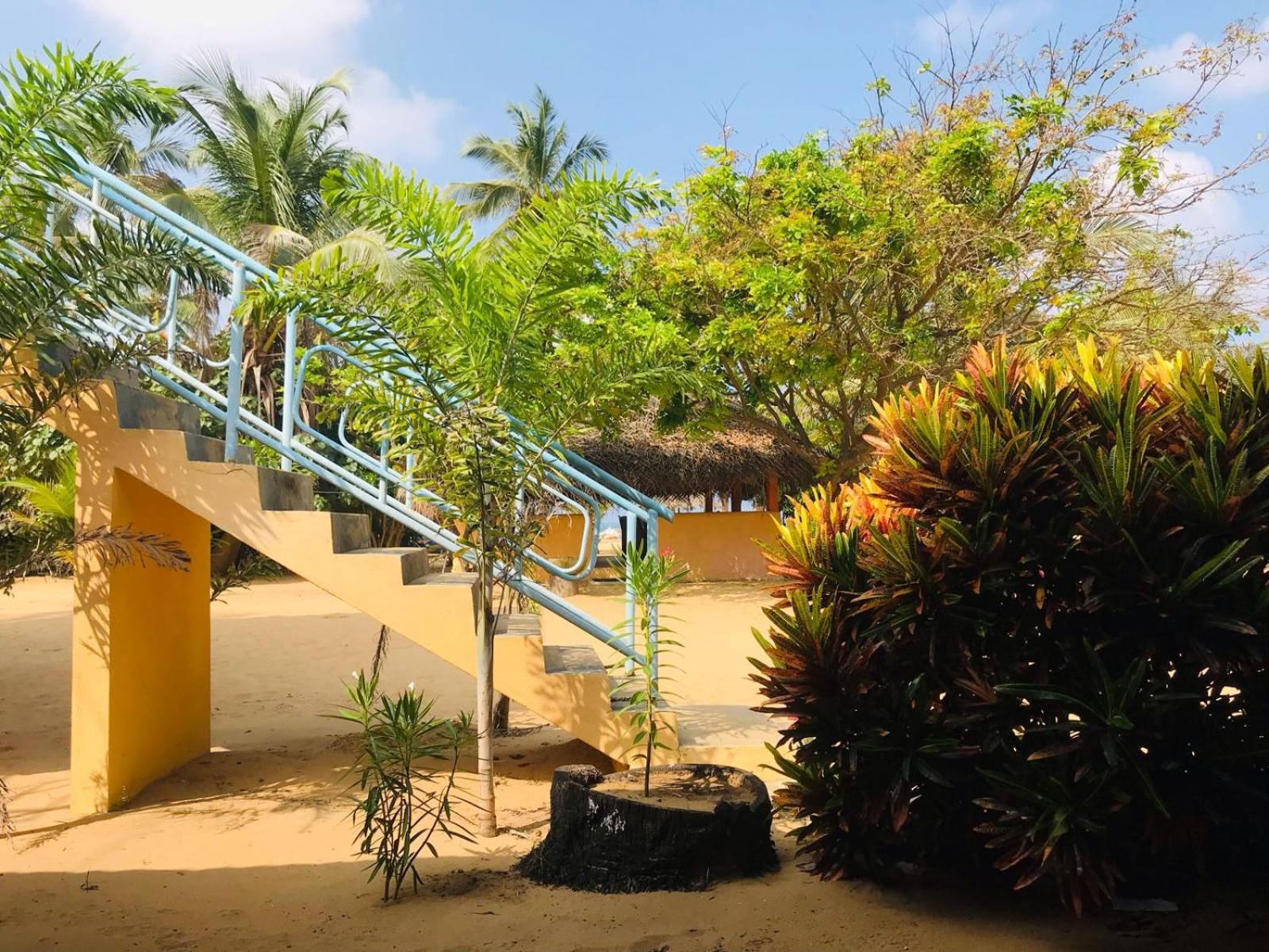Alankuda Dolphin Village מראה חיצוני תמונה